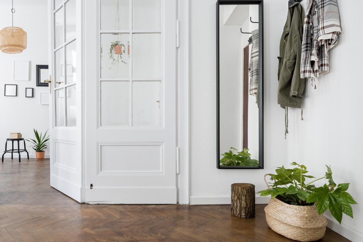 plants in a hallway